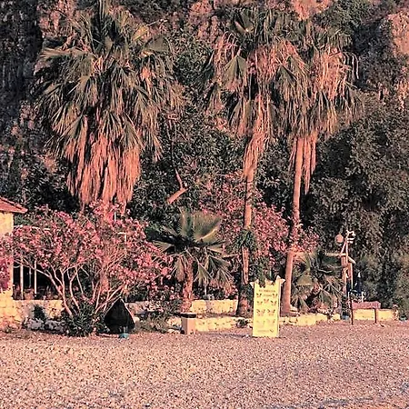 فندق Butterfly Valley 3*