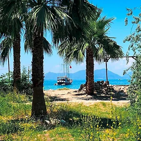 فندق Butterfly Valley