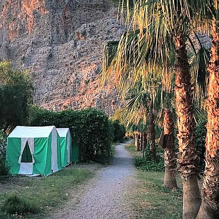 فندق Butterfly Valley